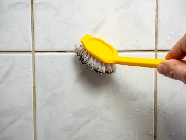 Office Mold Removal Services in Mcdonald, OH
