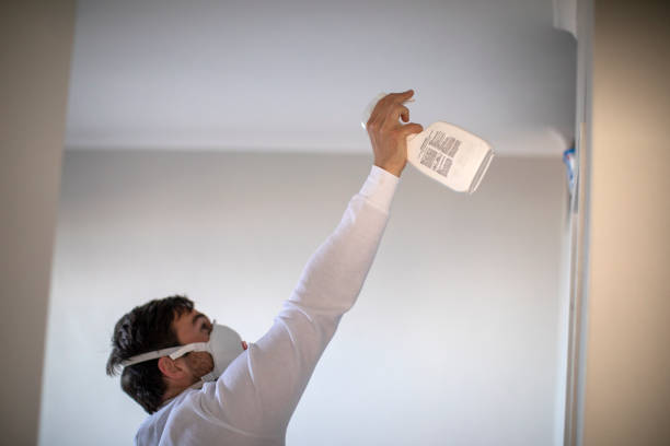 Best Commercial Mold Removal  in Mcdonald, OH