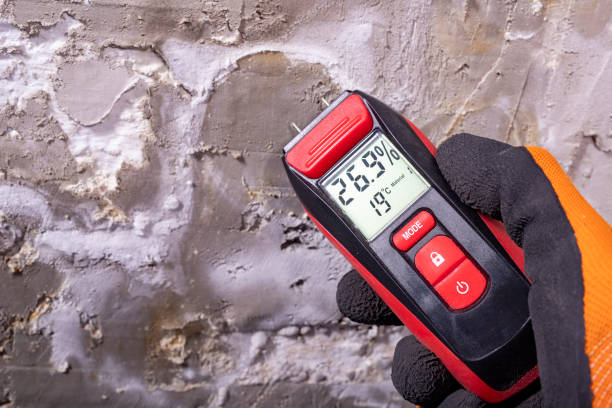 Best Black Mold Removal  in Mcdonald, OH
