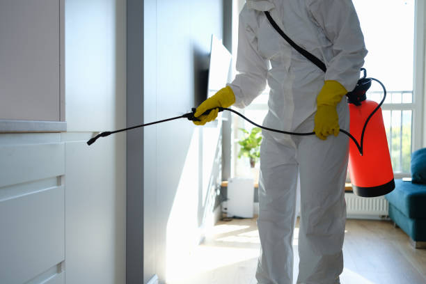Best Mold Damage Repair  in Mcdonald, OH