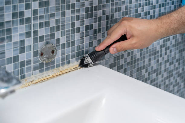 Best Attic Mold Removal  in Mcdonald, OH