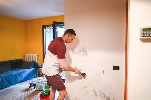 Best Water Damage Restoration  in Mcdonald, OH