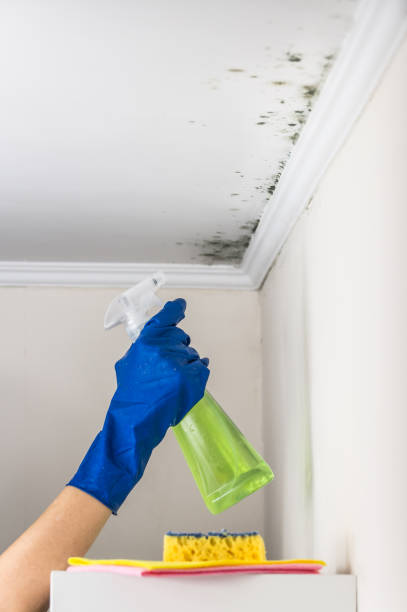 Best Mold Testing  in Mcdonald, OH